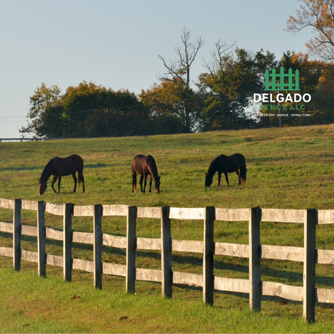 Ranch style farm fence